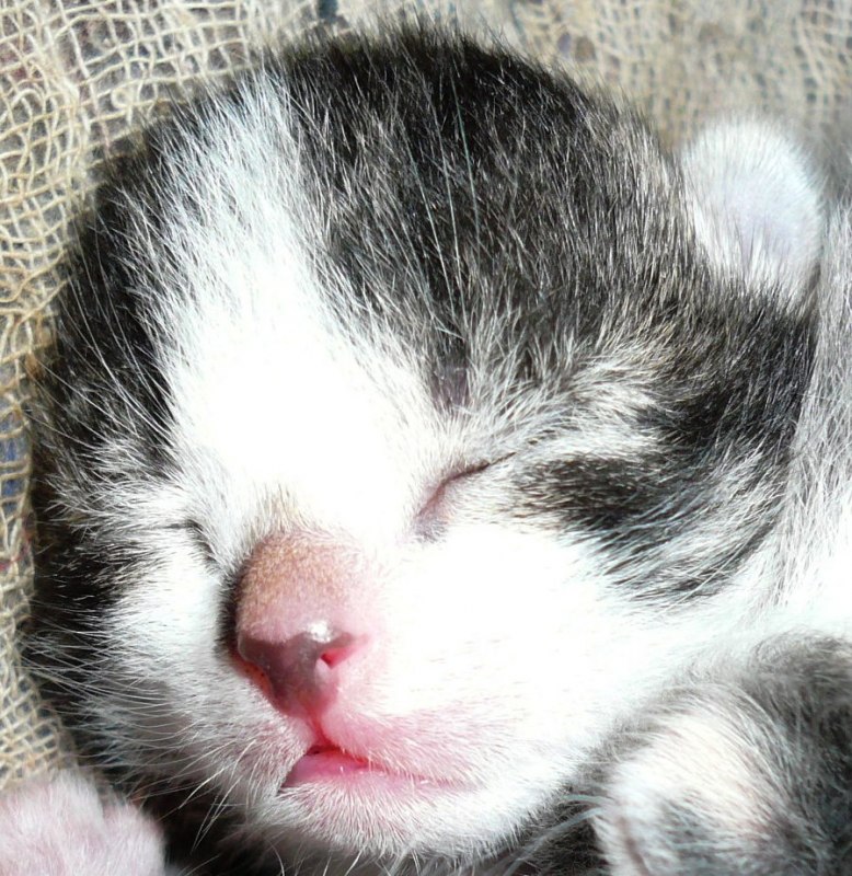 :)